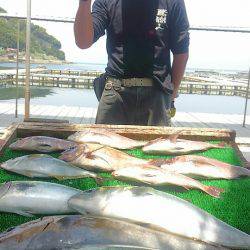 海の釣堀 海恵 釣果