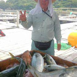 海の釣堀 海恵 釣果