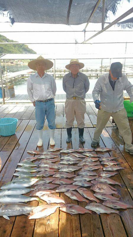 海の釣堀 海恵 釣果