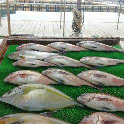 海の釣堀 海恵 釣果