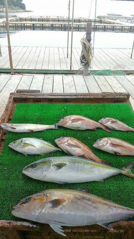 海の釣堀 海恵 釣果