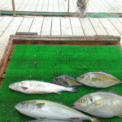 海の釣堀 海恵 釣果