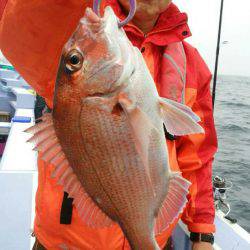 新幸丸 釣果