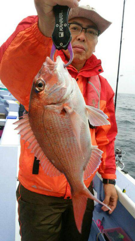 新幸丸 釣果