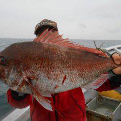 金栄丸 釣果