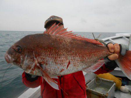 金栄丸 釣果