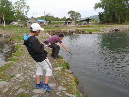 つりぼりあかし 釣果