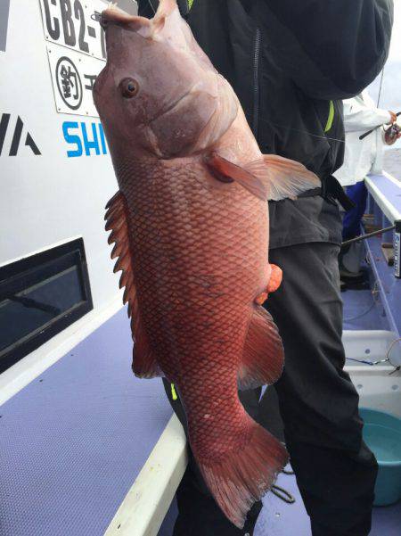 新幸丸 釣果