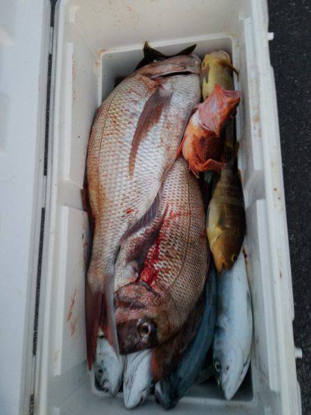 海龍丸（島根） 釣果