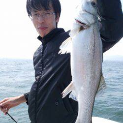 bay style 釣果