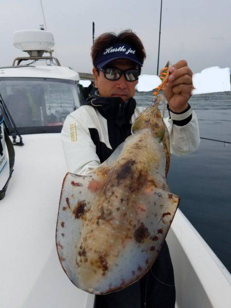 ソルトウォーターガイドフレンズ 釣果