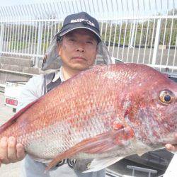 だて丸 釣果