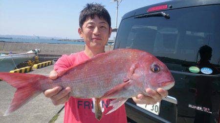 だて丸 釣果