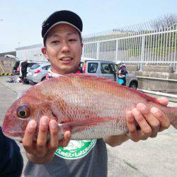 だて丸 釣果