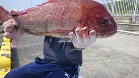 だて丸 釣果