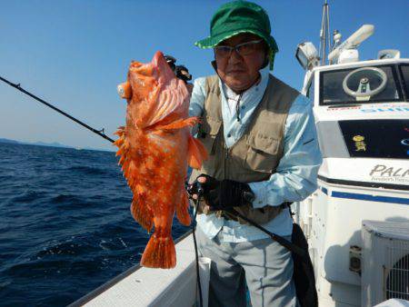 きずなまりん 釣果