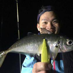 シースナイパー海龍 釣果