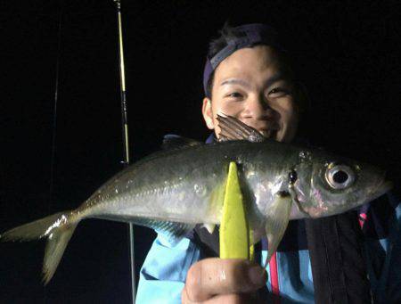 シースナイパー海龍 釣果