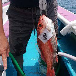 ぽん助丸 釣果