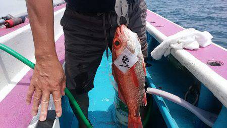 ぽん助丸 釣果