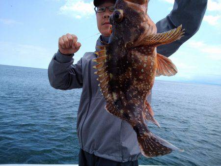 ひな丸 釣果