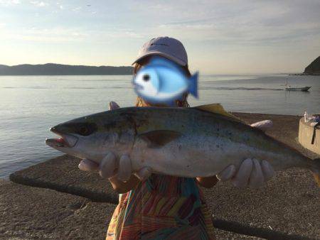 堤防にてハマチ釣れた！！！