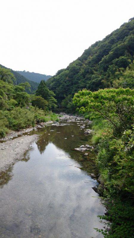 和歌山の小河川で