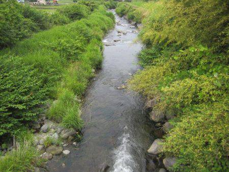 狩野川（狩野川漁業協同組合） 釣果