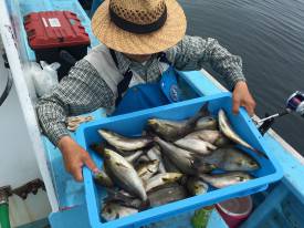 おざき丸 釣果