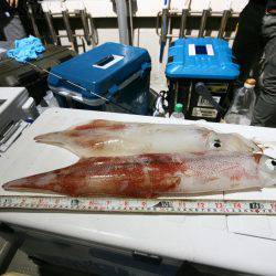 オーシャンズ　京都 釣果