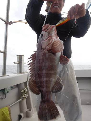 随功丸 釣果