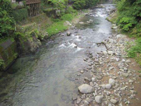 狩野川（狩野川漁業協同組合） 釣果