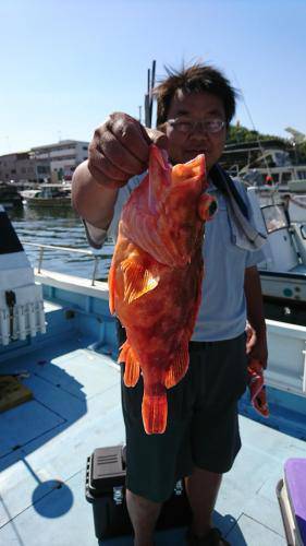 龍幸丸 釣果