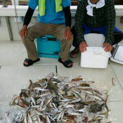 釣り船くわだ 釣果