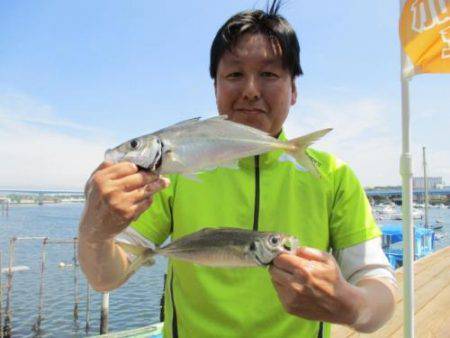 あい川丸 釣果