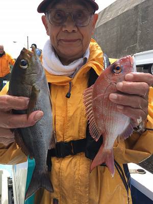 松栄丸 釣果