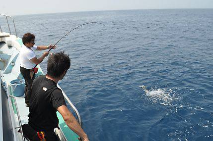 八海丸 釣果