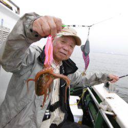 かもめ釣船 釣果