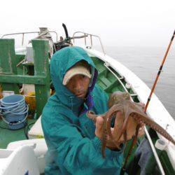 かもめ釣船 釣果