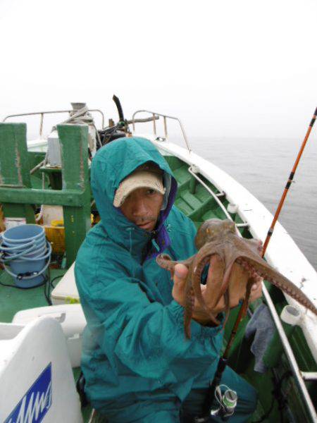 かもめ釣船 釣果