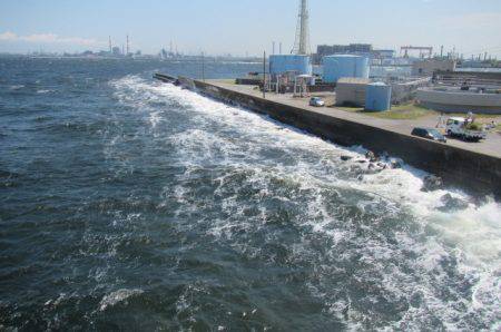 オリジナルメーカー海づり公園(市原市海づり施設) 釣果