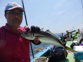 久里浜黒川本家 釣果