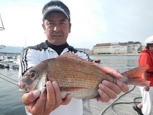 はたの家 釣果