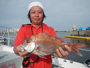 はたの家 釣果