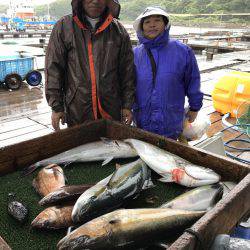 海の釣堀 海恵 釣果