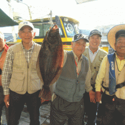 荒川屋 釣果