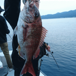 遊漁船ブルーウッズ 釣果