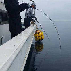 第五慶門丸 釣果