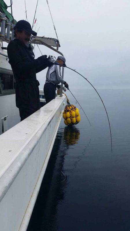 第五慶門丸 釣果