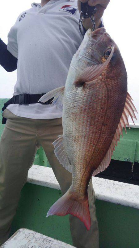 遊漁船 新鋭丸 釣果